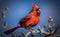 A northern cardinal perched on a branch and singing, blurred blue sky background in spring generative AI