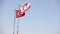 Northern Cyprus, the flag of the Republic of Northern Cyprus against the blue sky and the sea