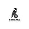 Northern Flicker Cinema Bird Film Reel logo design