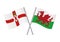 Northern Ireland and Wales crossed flags