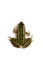 Northern Leopard Frog (Lithobates pipiens)