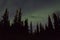 Northern lights arcoss the blacked skies of an Alaskan life staring up at the stars. Northern lights across the black spruces on