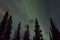 Northern lights arcoss the blacked skies of an Alaskan life staring up at the stars. Northern lights across the black spruces on