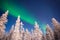 Northern lights, Aurora Borealis in Lapland Finland