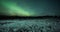 Northern lights (aurora borealis) over frozen farm fields