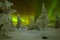 Northern Lights - Aurora borealis over snow-covered forest. Beautiful picture of massive multicoloured green vibrant Aurora Boreal