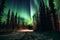 Northern Lights illuminating the night sky over Alaska, capturing the mystical and captivating beauty of this natural phenomenon.