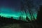 Northern lights in the night forest, Estonian nature