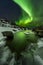 Northern lights under the Barents sea. Polar landscape at the winter night.