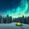 Northern lights in winter forest