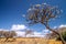 Northern Madagascar landscape