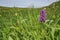 Northern Marsh Orchid