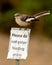 Northern Mockingbird perched on sign warning `Do Not Enter`
