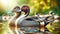 Northern Pintail Elegant Ducks Colorful Plumage Swimming Marsh Waterfowl Springtime Morning Sunrise AI Generated