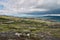 Northern polar summer in the tundra. Hill. Coast of the Arctic Ocean, Barents Sea beach, Russia