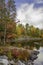 Northern River in Autumn - Algonquin Provincial Park