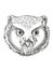 Northern White-Faced Owl  Head Cartoon Retro Drawing