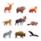 Northern Wild Animals Polygonal Icons Set