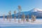 Northern winter landscape - pine trees, forest and mountain