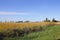 Northwest Farmland in Washington State