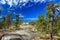 Northwest Territories, Canada - Hiking on Canadian Shield in Prospect Lake Territorial Park