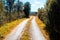 Norway countyside autumn road background