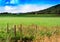 Norway farm field landscape with fence background