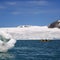 Norway: Kayak near glacier