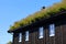 Norway sod roof traditional building