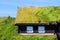 Norway sod roof traditional house