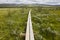 Norway. Wooden pathway in Dovrefjell-Sunndalsfjella park. Fokstumyra wetland.