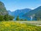 Norway - Yellow flowers growing on a meadow in the mountains with a fjord view