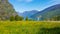 Norway - Yellow flowers growing on a meadow in the mountains with a fjord view