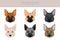 Norwegian Buhund clipart. Different poses, coat colors set