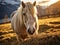 Norwegian Fjord Horse