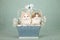 Norwegian Forest Cat kittens sitting inside Wedgewood blue basket decorated with bows and ribbons