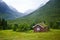 Norwegian house and mountains