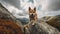 Norwegian Lundehund\\\'s Agile Climb on the Nordic Cliffs