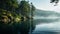 Norwegian Nature: Forest On A Lake With Morning Mist