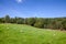 Norwegian rural landscape with grazing free range sheep