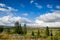 Norwegian summer landscape with fir trees Oppland Norway