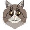 Norwegian west cat avatar. Cat breeds