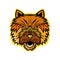 Norwich Terrier Mascot Front