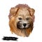 Norwich terrier puppy breed from United Kingdom digital art