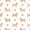 Norwich terrier seamless pattern. Different poses, coat colors set