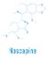 Noscapine antitussive drug molecule. Skeletal formula. Chemical structure