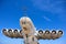 Nose, cockpit and engines of Lun-class Ekranoplan floatplane - unique soviet weaponry against blue sky