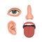 Nose, ear, eye, throat or mouth -parts of a human face. ENT doctor, otolaryngologist and optometrist. Educational anatomy. Flat