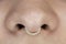 Nose piercing septum.