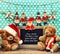 Nostalgic home christmas decoration with antique toys